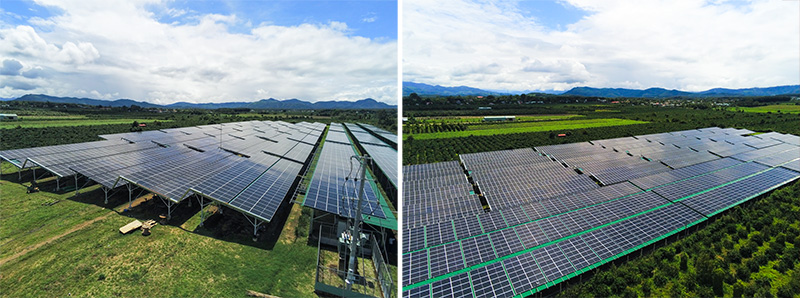 Trang trại sản xuất điện năng lượng mặt trời