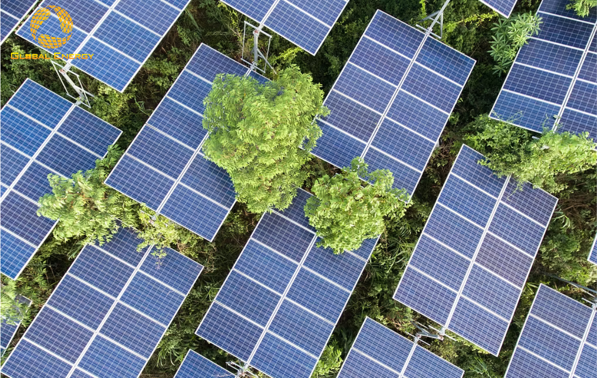 pin năng lượng mặt trời giá rẻ